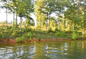 LOT 88 LAKESHORE WEST PHASE VIII