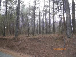 CO RD 351