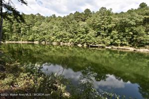 2 WINDING CREEK Ln