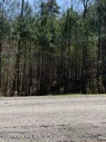 LOT 60 BRUSHY CREEK POINTE