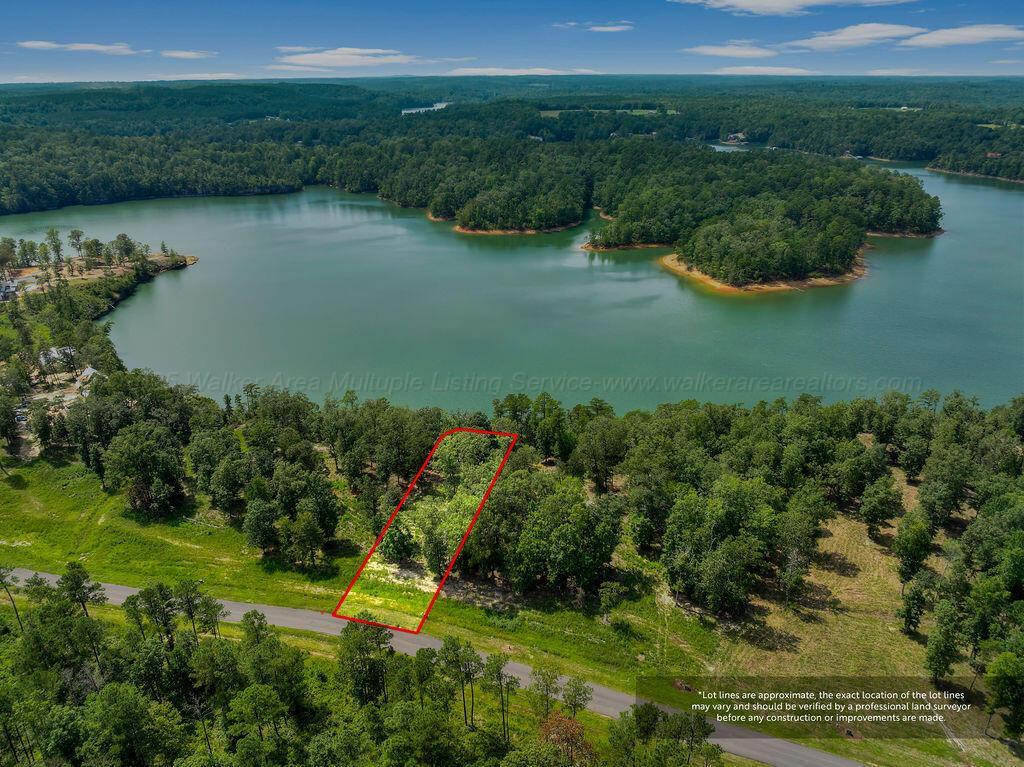 Image 2: DJI_20250826135945_0149_D-6-Edit-Edit-2