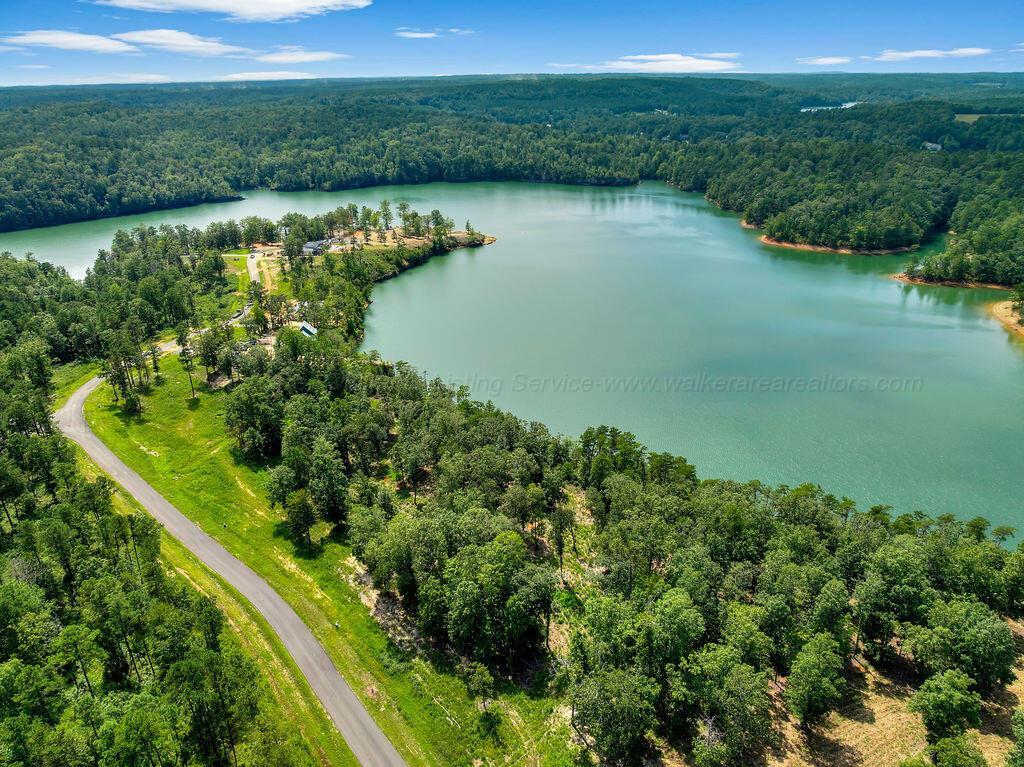 Image 3: DJI_20250826140000_0152_D-9-Edit-4