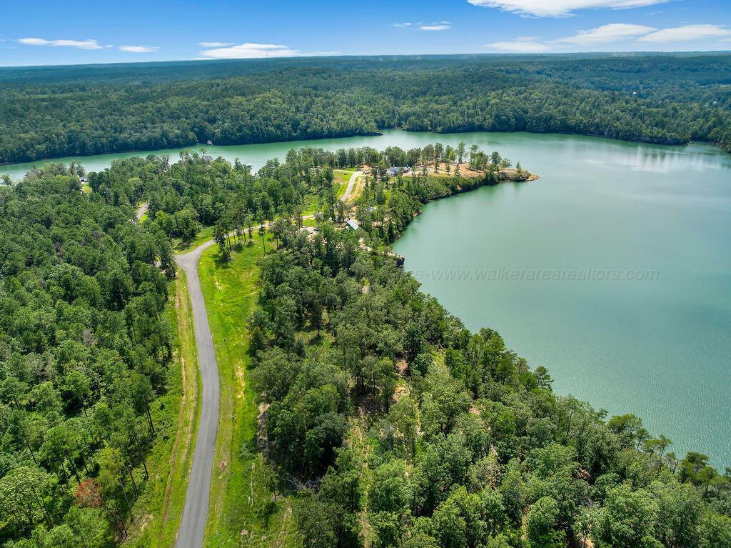 Image 4: DJI_20250826140019_0155_D-12-Edit-5