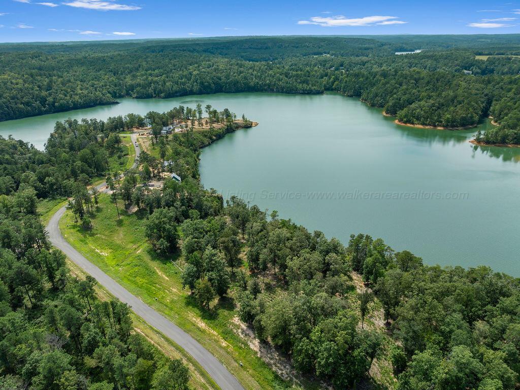 Image 3: DJI_20250826140529_0194_D-9-4