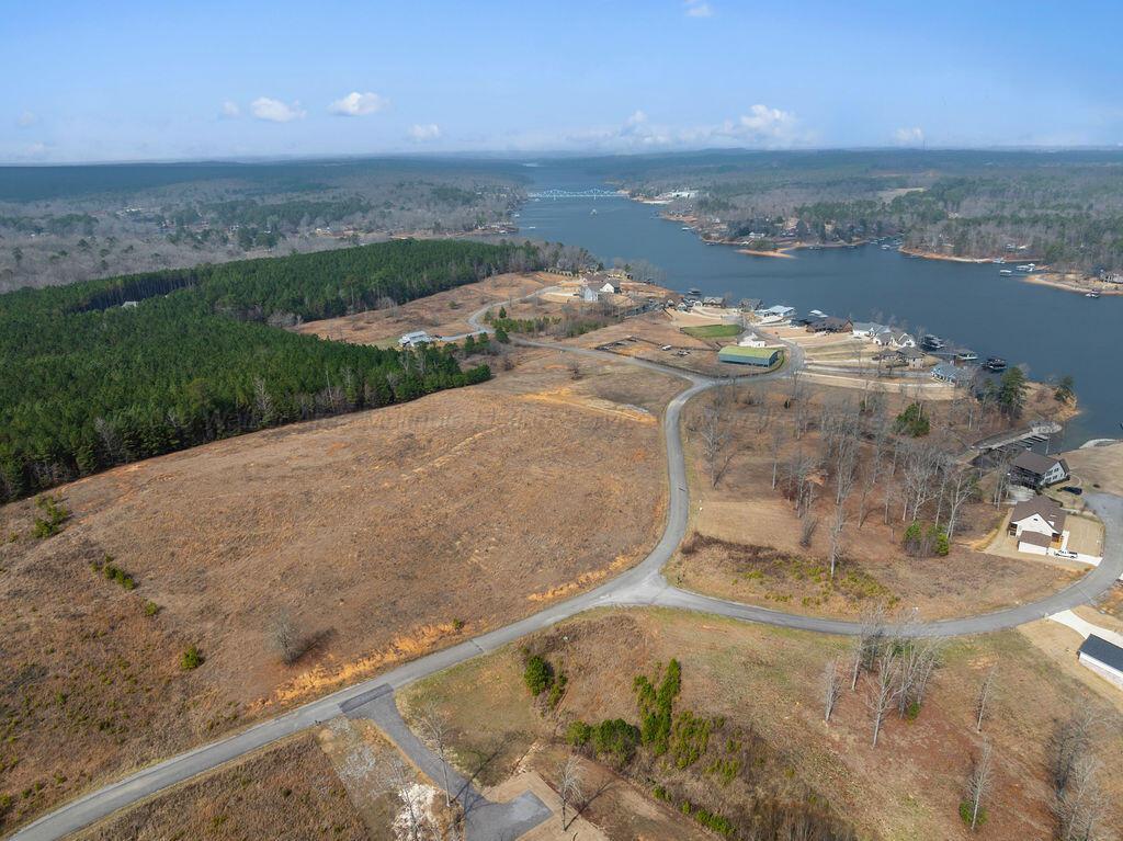 Image 2: DJI_20260219114829_0216_D