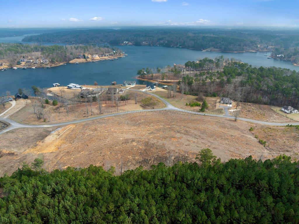 Image 4: DJI_20260219114628_0192_D