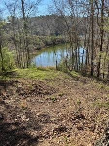 130 COUNTY ROAD 261