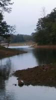 LOT 178 STONEY POINTE