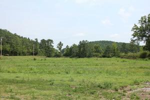 HWY 69S AND COUNTY ROAD 110