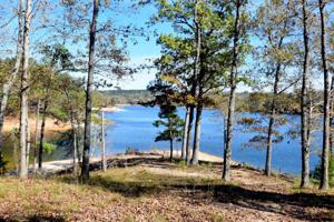 LOT 15 PENINSULA PHASE IV