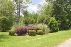 LOT 56 BRUSHY CREEK POINTE