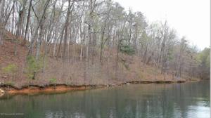 LOT 8 BLUE WATER POINTE DRIVE
