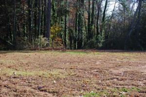 600 CO RD 244