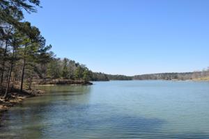 LOT 50 SIPSEY OVERLOOK