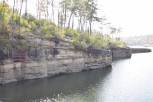 LOT 8 BEAR BRANCH COVE
