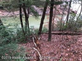 LOT 20 RANDOLPH COVE