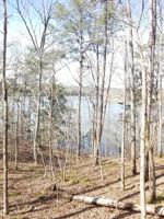 LOT 25 BRUSHY LANE