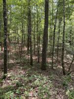 LOT 18 LAKE DRIVE