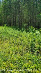 LOT #15 HIGHLAND SHORES SUBDIVISION
