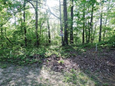 LOT 81 PINEWOOD PT