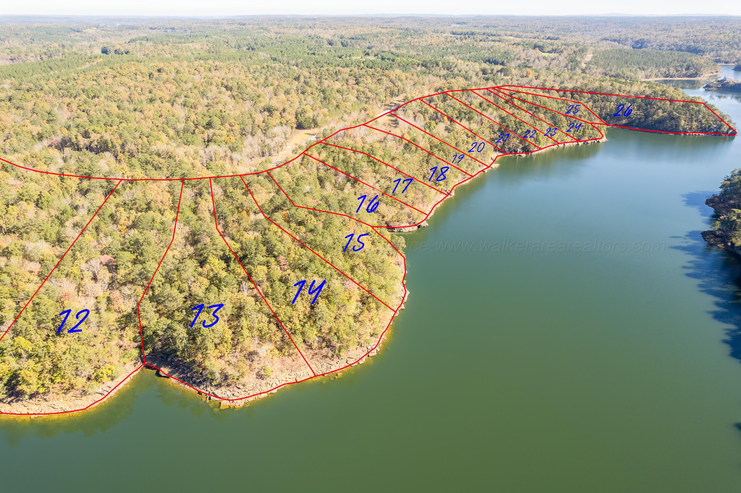 Image 2: Aerial Lot Lines
