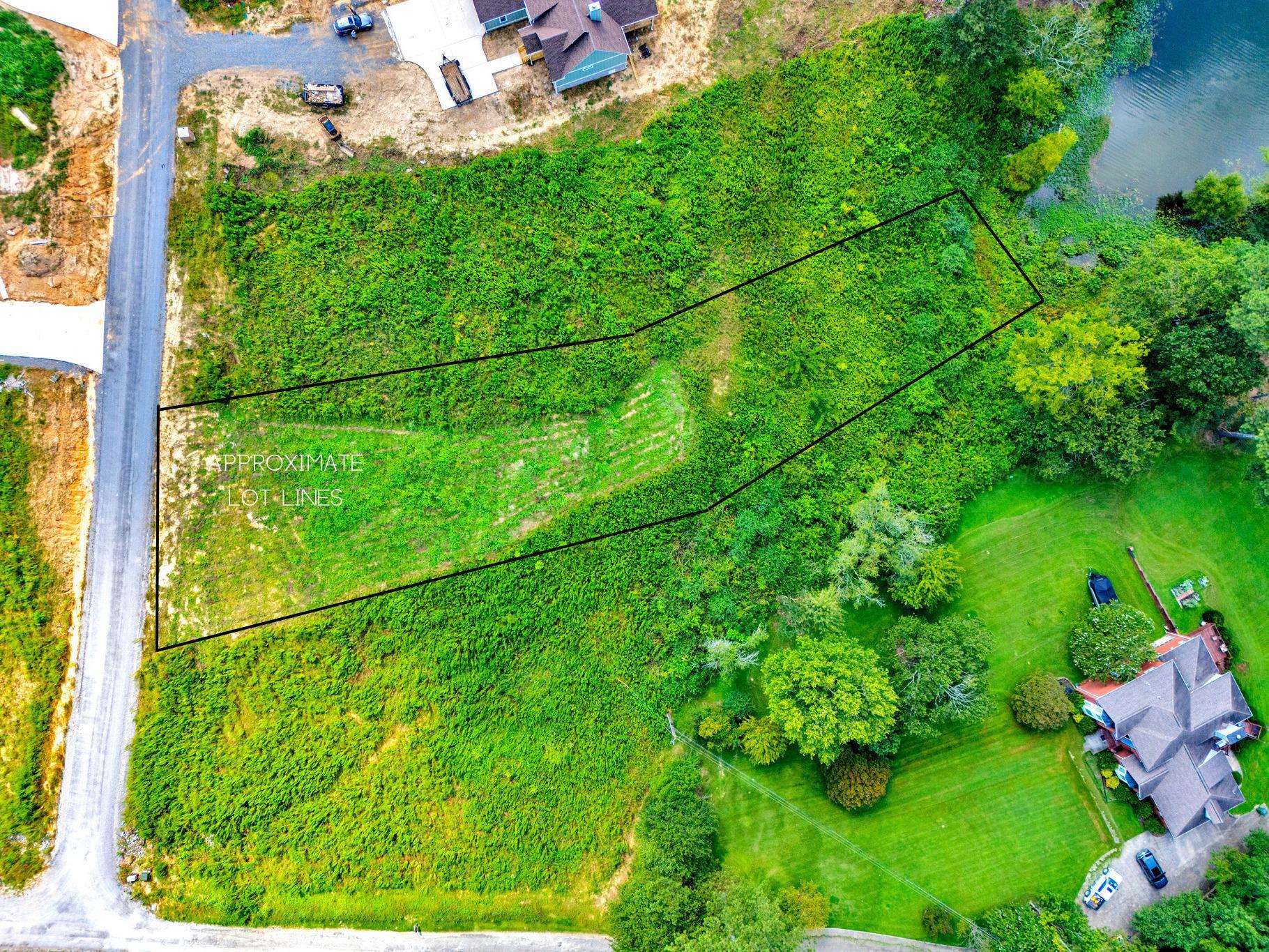 Image 3: approximate