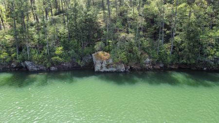 LOT 59 SIPSEY OVERLOOK