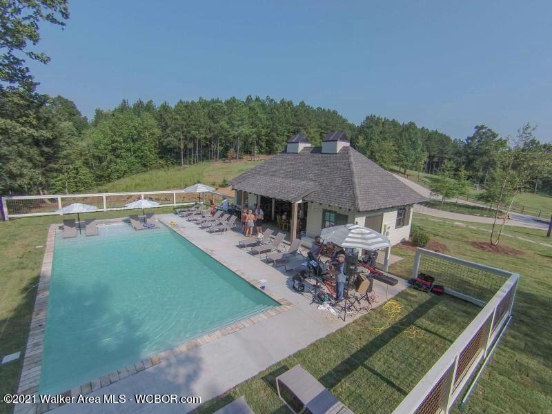 Image 3: Pool
