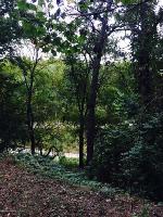 LOT #9 BANKHEAD SHORES