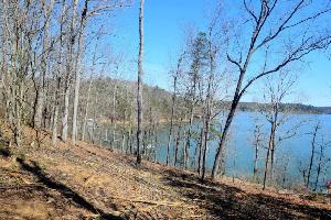 LOT 1 BLUEWATER ESTATES