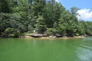 LOT 1 LONG BRANCH ESTATES