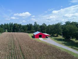 441 COUNTY ROAD 362