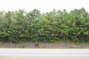 LOT 3 HWY 69S