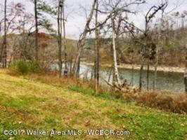 LAKE RIDGE DR LOT #46