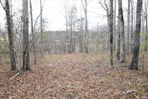 LOT 24 LAKESHORE EAST