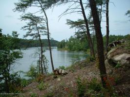 LOT 113 SIPSEY OVERLOOK