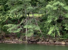 LOT 46 RIDGE AT ROCK CREEK