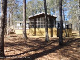 461 COUNTY ROAD 3941