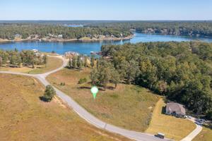 LOT 3 SIPSEY SHORES
