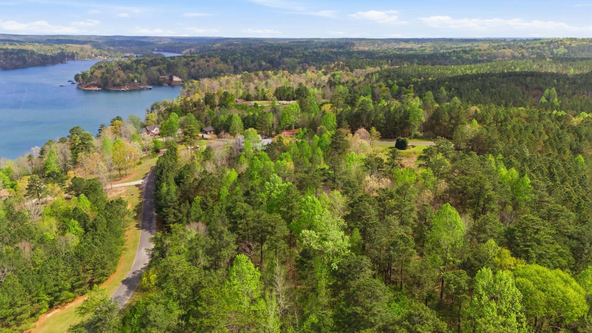 Image 2: Aerial