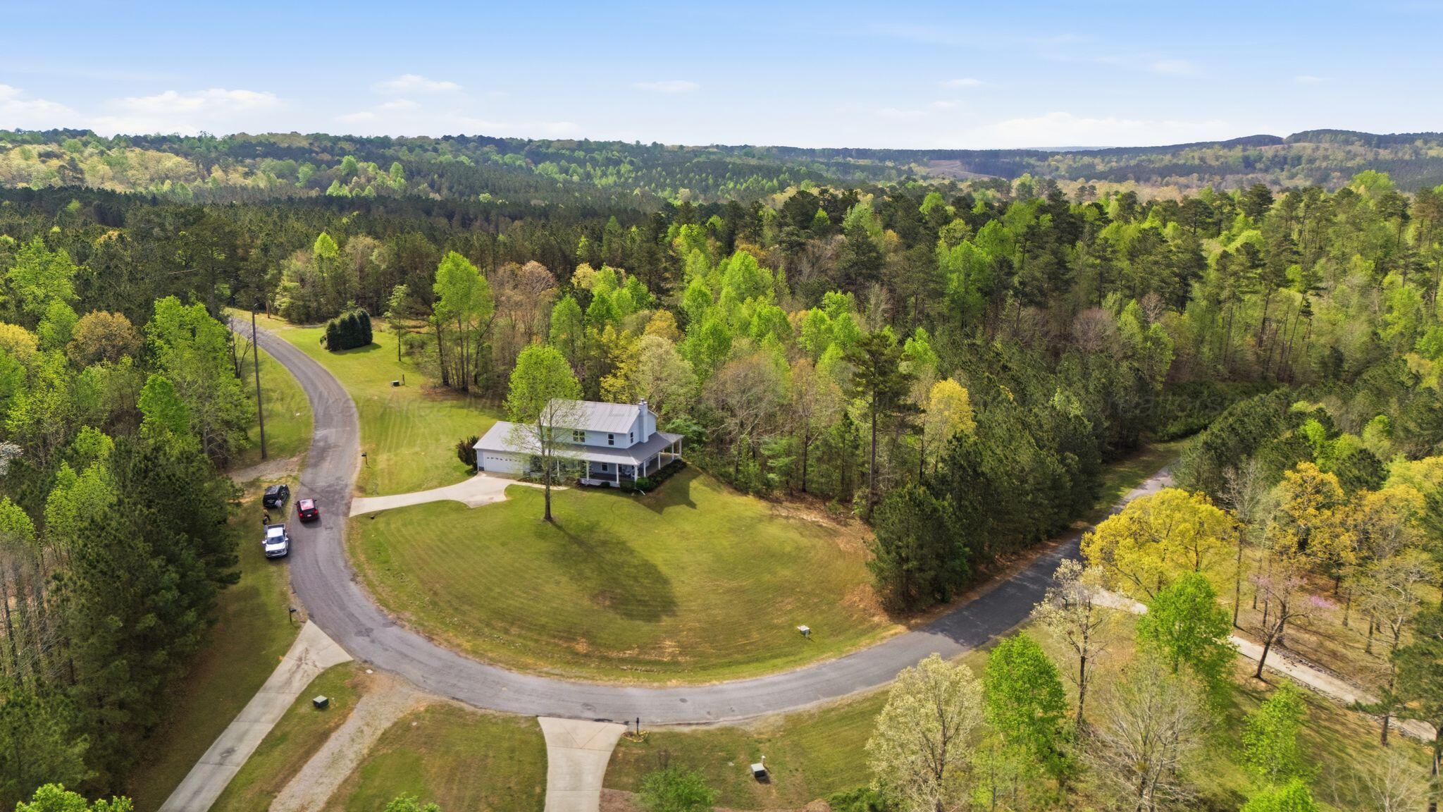 Image 3: Aerial