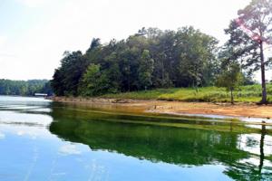 LOT 101 COUNTY ROAD 3078