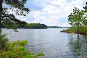 LOT 5 BEAR PEN COVE