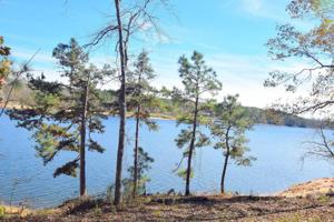 LOT 12 PENINSULA PHASE IV