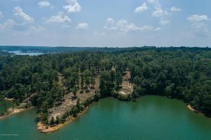 LOT 1 COUNTY ROAD 3973