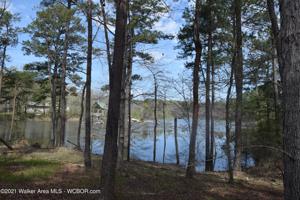 LOT 24 BEAR BRANCH COVE