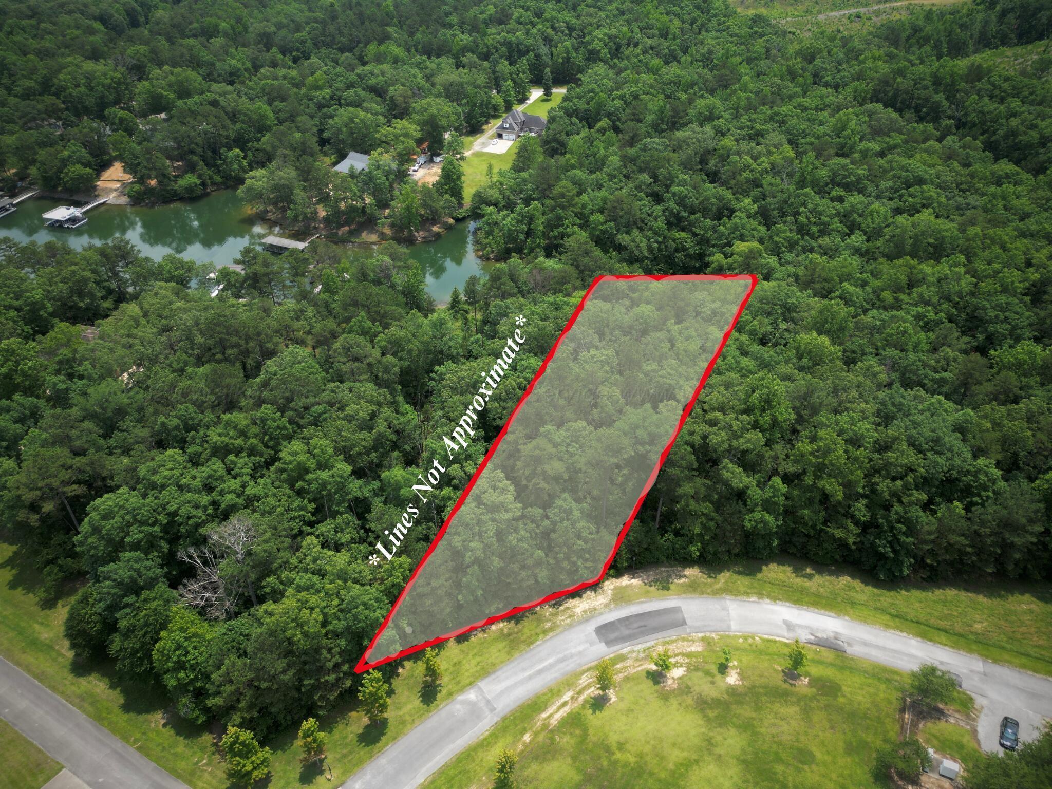 Image 1: Aerial View of Land