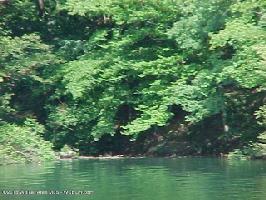 LOT # 4 COUNTY ROAD 159