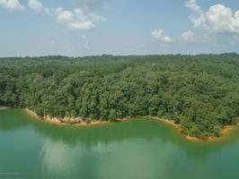 LOT 11 WATERBOUND AT SMITH LAKE