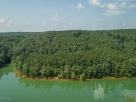 LOT 17 WATERBOUND AT SMITH LAKE